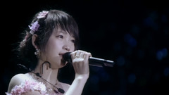 AKB48演唱會十周年精選重編 淡淡的憂傷