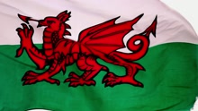 Together Stronger (C'mon Wales) (Official Video)