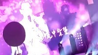 掌心 - 2017上海演唱會 飯拍版