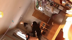 AKB48,乃木坂46 - 重力貓"The Making Of GRAVITY CAT"