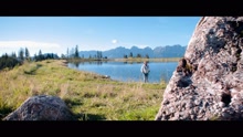 Hansi Hinterseer - Bergsinfonie