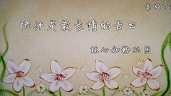 陪伴是最長情的告白