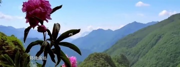 神草之戀