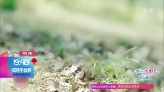 孤芳不自賞劇透36