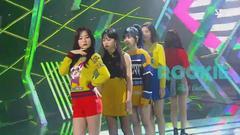 Rookie
