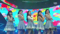 Rookie - SBS 人氣歌謠 現場版 17/02/12