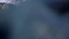 電視劇<大漢情緣之云中歌>第16集預告片