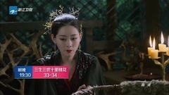 電視劇<三生三世十里桃花>衛視版預告 第一彈
