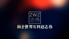 趙志偉安利視頻
