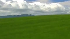 風吹麥浪 吹啊吹