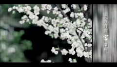 秦淮八艷