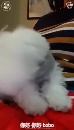 徐賢INS第一次直播全程