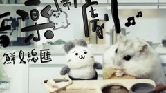 倉鼠人音樂鬧劇之鮮魚總匯