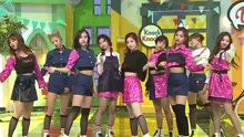 KNOCK KNOCK - MBC Show Champion 現場版 17/03/08