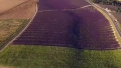 海闊天空  湖光山色  鳥語花香