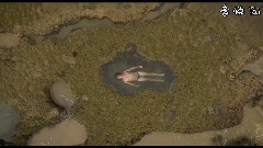 Northeast Party House - Calypso Beach