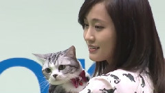前田敦子,愛貓"ポッツ"にメロメロ