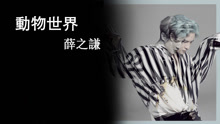 薛之謙 - 動物世界 官方歌詞版