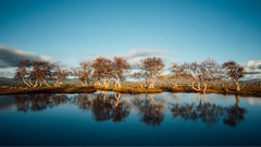 [唯美攝影]挪威四季轉換旖旎風光美景