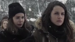 雪中的棕櫚樹(Palmeras en la nieve)