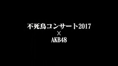 AKB48 - "美空ひばり生誕80周年特別企畫in東京ドーム不死鳥コンサート2017"AKB48 留言短片