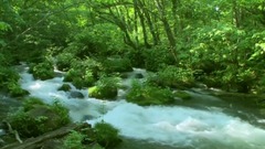 青山綠水 郁郁蔥蔥