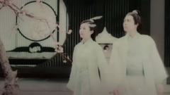 白芍花開