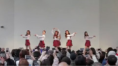 春之國的故事