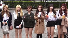 櫻花遍布的上班路上