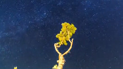 繁星閃爍的夜空