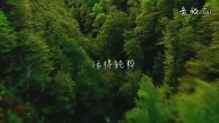 如果這不是你,誰會是你