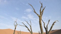 納米比亞沙漠