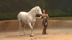 舞臺秀《Cavalia·舞馬》