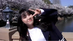 和石村湖櫻花約會!