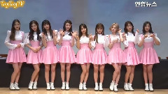 SD News DIA - YOLO 木洞簽售會