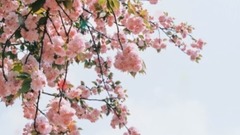 賀一航2017年最新歌曲,送給最好的朋友!好聽收藏!