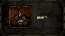 Se?orita (Audio)