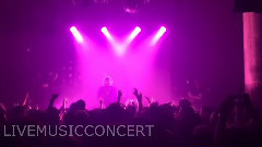 New York 演唱會