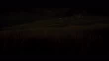Soi Soi (From 