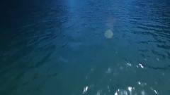 硒都游宣傳視頻
