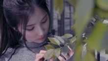 SOHEE - Spotlight 預告