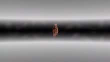 Me Voy Yendo (Videoclip)