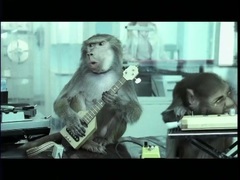 Where's Your Head At