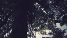 Ac? (Videoclipe)