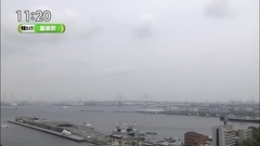 AKB48,柏木由紀,NGT48 - 柏木由紀 ひるおび天気