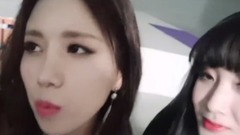 無法真摯的JIN智SHOW!