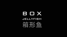  - 簡迷離---箱形魚