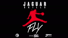 FLY (Audio)