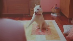 乃木坂46 - ソフトバンク(SoftBnk)CMまとめ9 ギガ割!編他 ついにギガちゃん登場!ギガの聲って確か乃木坂46の 誰だっけ