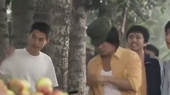 橄欖樹